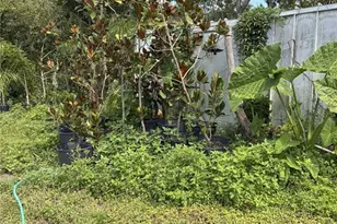 3016 Bloomingdale Ave, Valrico, FL 33596 - Photo 15