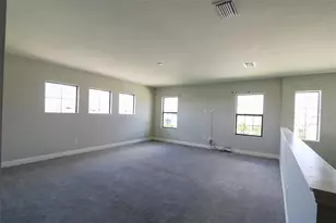 11978 Climbing Fern Ave, Riverview, FL 33579 - Photo 37