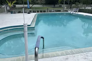 3117 Mission Grove Dr, Palm Harbor, FL 34684 - Photo 19