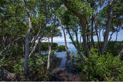 1125L Friendly Way S, Saint Petersburg, FL 33705 - Photo 17