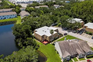 12714 Tall Pine Dr, Tampa, FL 33625 - Photo 39