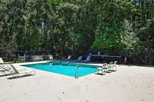12714 Tall Pine Dr, Tampa, FL 33625 - Photo 45