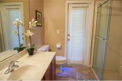 27339 Silver Thatch Drive, Wesley Chapel, FL 33544 - Photo 25