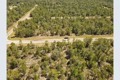 Norvell Street, Chipley, FL 32428 - Photo 9