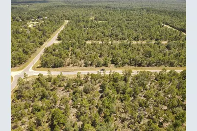 Norvell Street, Chipley, FL 32428 - Photo 11