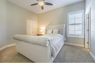 20411 Lace Cascade Road, Land O Lakes, FL 34637 - Photo 23