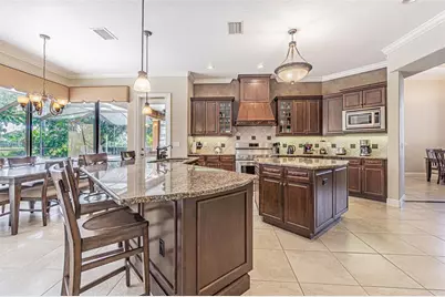 20411 Lace Cascade Road, Land O Lakes, FL 34637 - Photo 9