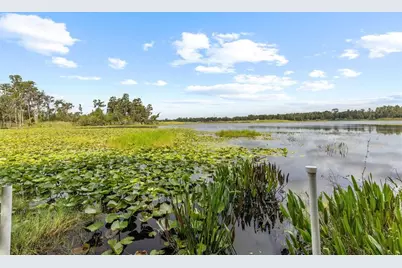 17804 Waterway Creek Drive, Lutz, FL 33549 - Photo 17