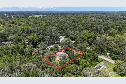 35328 Reynolds Street, Dade City, FL 33523 - Photo 13