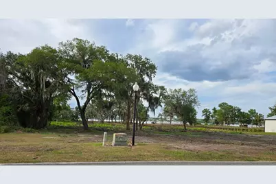Blue Heron Circle #Lot K-10, Tavares, FL 32778 - Photo 3