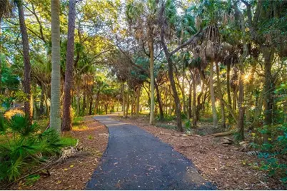 436 Lafayette Boulevard, Oldsmar, FL 34677 - Photo 49