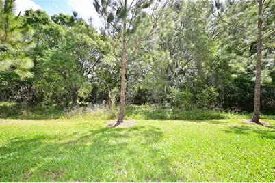 28522 Tranquil Lake Circle, Wesley Chapel, FL 33543 - Photo 17