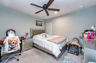 2844 Jacob Crossing Ln, Holiday, FL 34691 - Photo 15