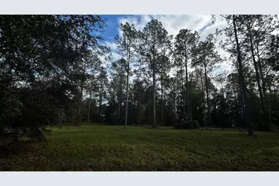 35501 Pinegate Trail, Eustis, FL 32736 - Photo 11