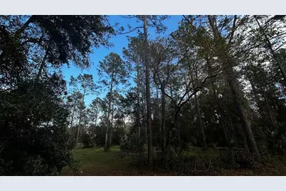 35501 Pinegate Trail, Eustis, FL 32736 - Photo 9