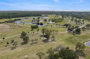 1817 Golf View Dr, Tarpon Springs, FL 34689 - Photo 33