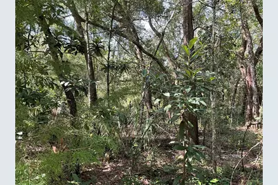 2911 Van Buren Street, Inverness, FL 34453 - Photo 3