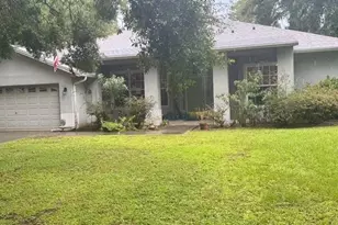 12216 Anne Kenia Dr, Thonotosassa, FL 33592 - Photo 1