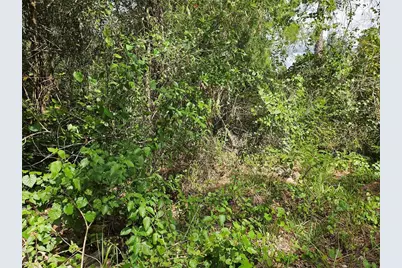 Us Highway 41, Spring Hill, FL 34610 - Photo 5