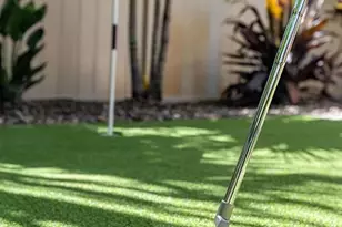 333 66th St N, Saint Petersburg, FL 33710 - Photo 45