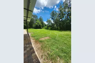 23334 Brandy Road, Land O Lakes, FL 34639 - Photo 13