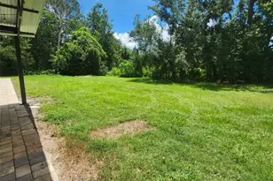 23334 Brandy Rd, Land O Lakes, FL 34639 - Photo 13