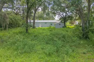 9117 Wood Terrace Dr, Tampa, FL 33637 - Photo 49