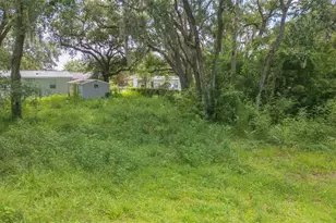 9117 Wood Terrace Dr, Tampa, FL 33637 - Photo 51