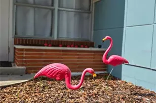 1011 E Crenshaw St, Tampa, FL 33604 - Photo 11