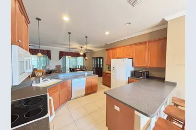 9936 Cleghorn Drive, San Antonio, FL 33576 - Photo 5