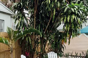 809 10th Ave N, Saint Petersburg, FL 33701 - Photo 37