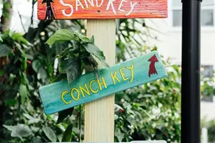 809 10th Ave N, Saint Petersburg, FL 33701 - Photo 49