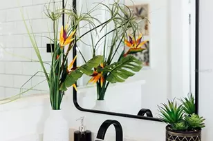 809 10th Ave N, Saint Petersburg, FL 33701 - Photo 27