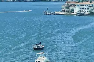 100 Bluff View Dr, Belleair Bluffs, FL 33770 - Photo 39