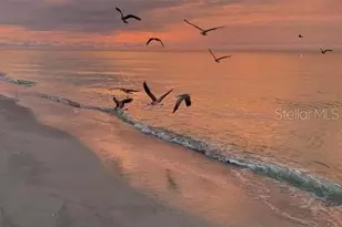 100 Bluff View Dr, Belleair Bluffs, FL 33770 - Photo 81