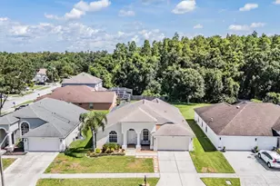 18143 Palm Breeze Dr, Tampa, FL 33647 - Photo 39