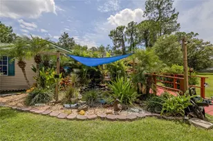 29913 Briarthorn Loop, Wesley Chapel, FL 33545 - Photo 35