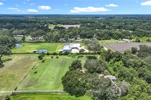 3804 Gallagher Rd, Dover, FL 33527 - Photo 81