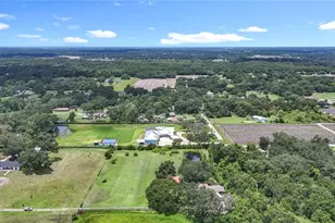 3804 Gallagher Rd, Dover, FL 33527 - Photo 3