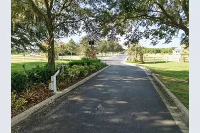 8504 Alafia Hills Drive, Plant City, FL 33567 - Photo 3