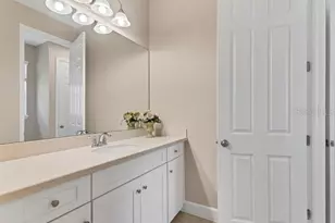 907 Heritage Groves Dr, Brandon, FL 33510 - Photo 43