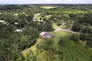 1405 Knights Griffin Rd, Plant City, FL 33565 - Photo 87