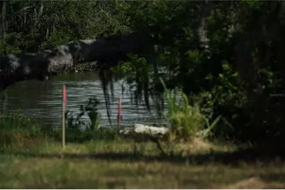 Tiberius Trail, New Port Richey, FL 34652 - Photo 5