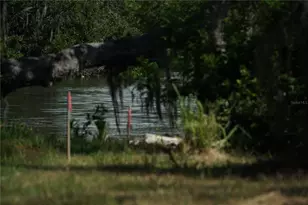 Tiberius Trail, New Port Richey, FL 34652 - Photo 5