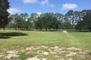 11951 SE 130th Ct, Dunnellon, FL 34431 - Photo 43