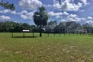 11951 SE 130th Ct, Dunnellon, FL 34431 - Photo 3