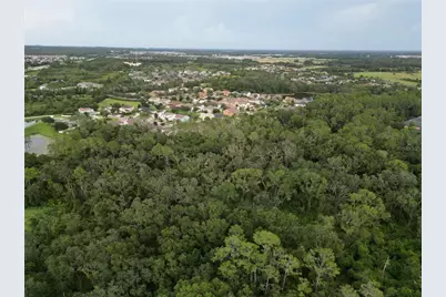 7322 Bridgeview Drive, Wesley Chapel, FL 33545 - Photo 75