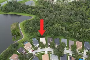 7322 Bridgeview Dr, Wesley Chapel, FL 33545 - Photo 3