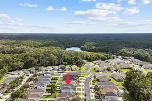 25914 Crippen Dr, Land O Lakes, FL 34639 - Photo 37