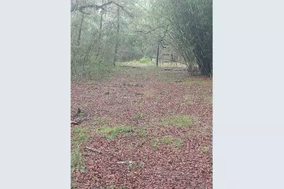 23818 NE 140th Avenue, Fort Mc Coy, FL 32134 - Photo 3